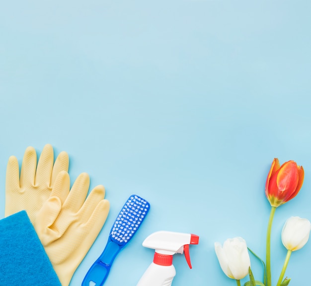 Springtime Home Cleaning Guide: A Natural Approach