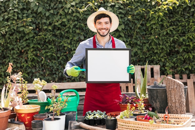 Starting Out with Square Foot Gardening: A Beginner's Guide and Reasons to Try It