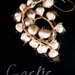 The Mighty Benefits and Daily Uses of Garlic