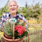 The Surprising Longevity of Gardeners: Exploring the Connection