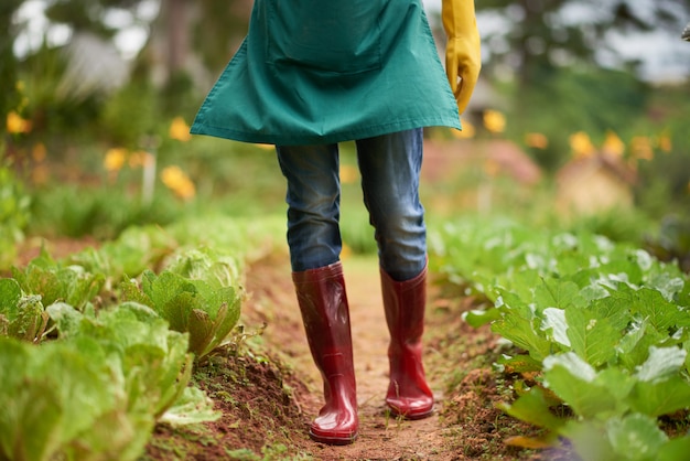 Urban Homesteading: Cultivating a City Oasis